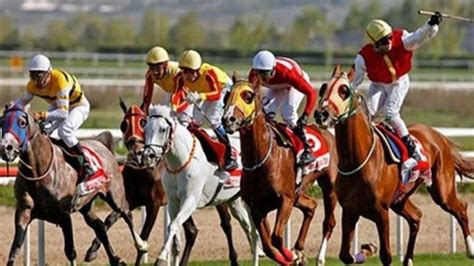 Izmir canlı at yarışı